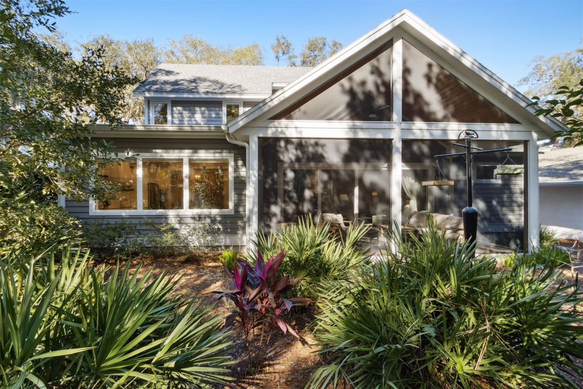 11 BELTED KINGFISHER