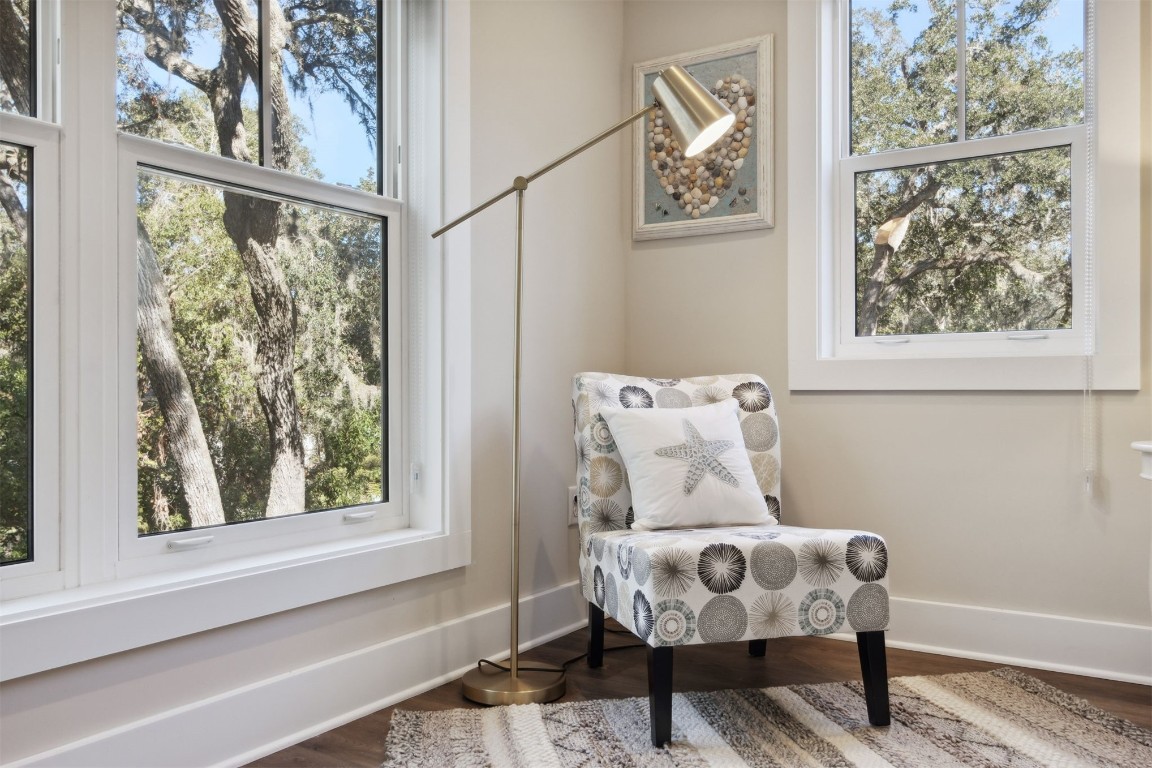 11 BELTED KINGFISHER