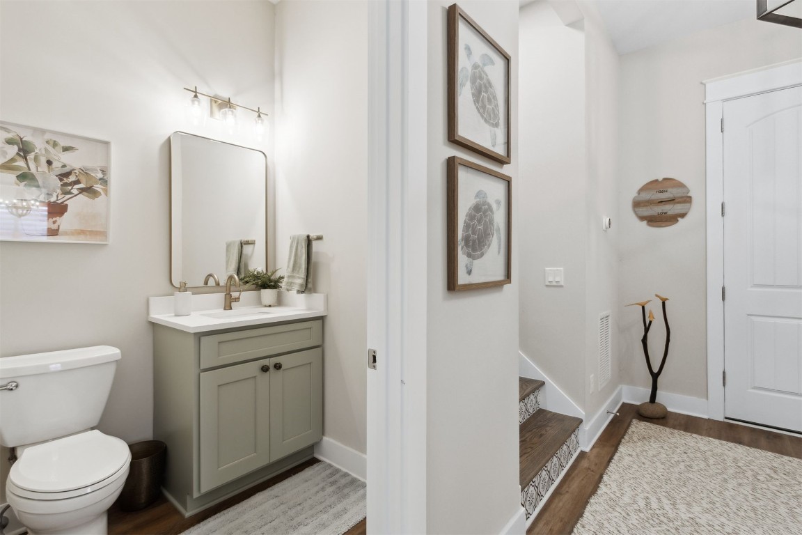 11 BELTED KINGFISHER