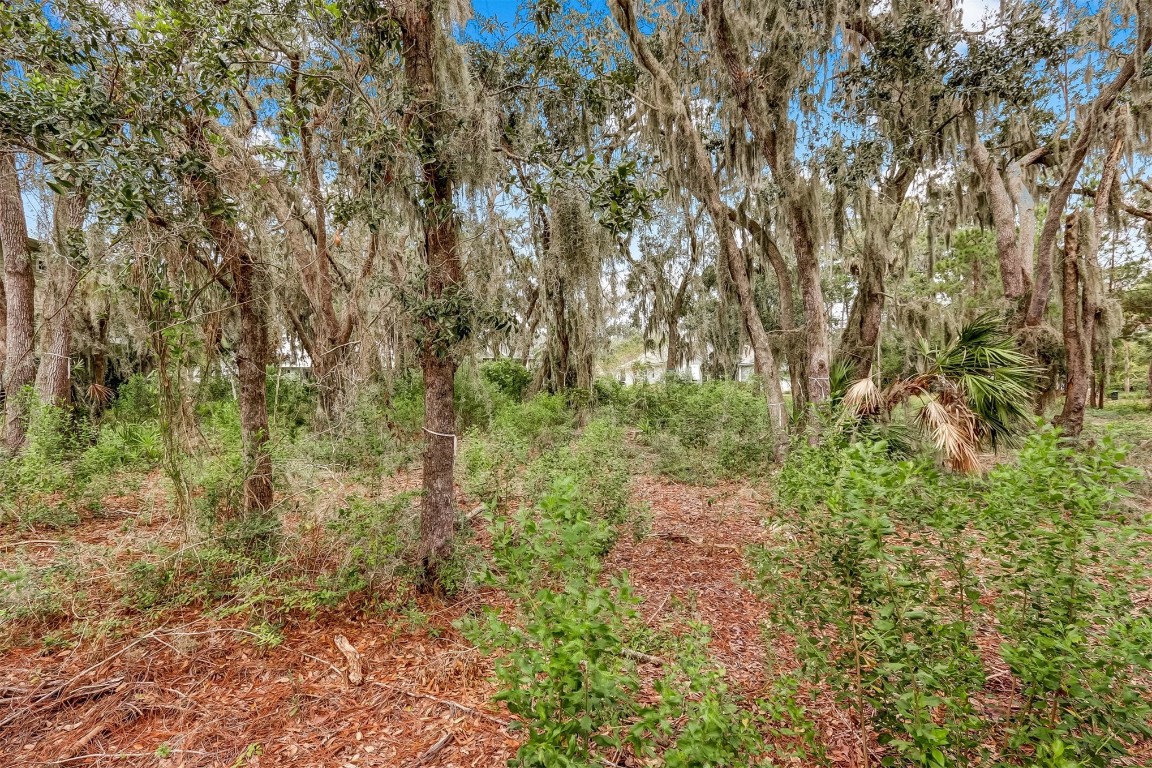 96588 SOAP CREEK DRIVE