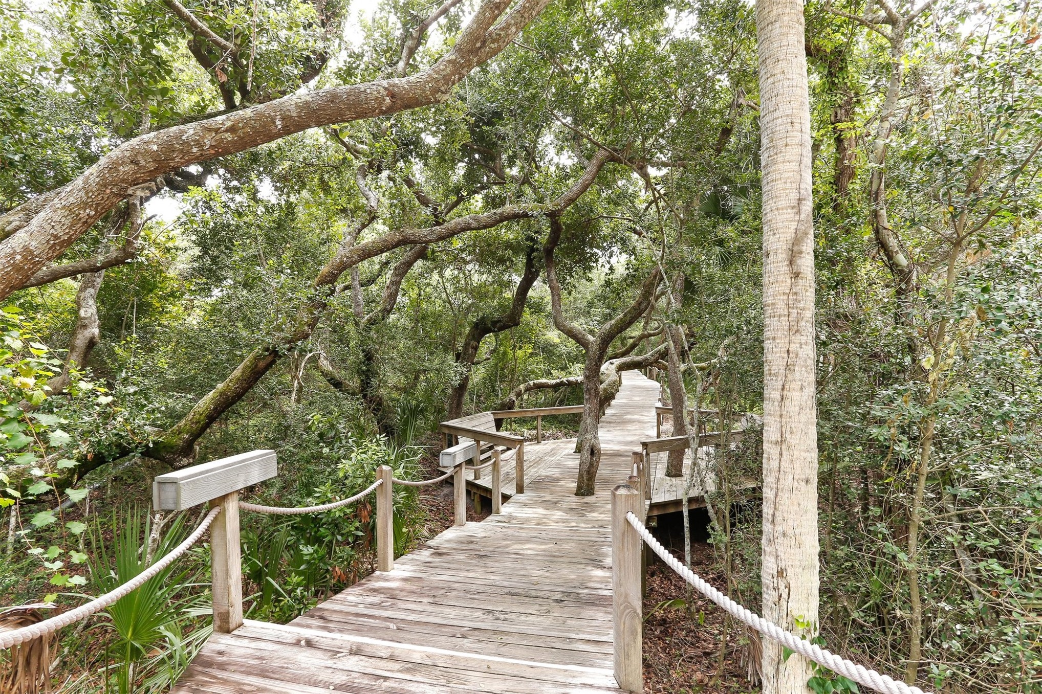 1107 BEACH WALKER ROAD 1107