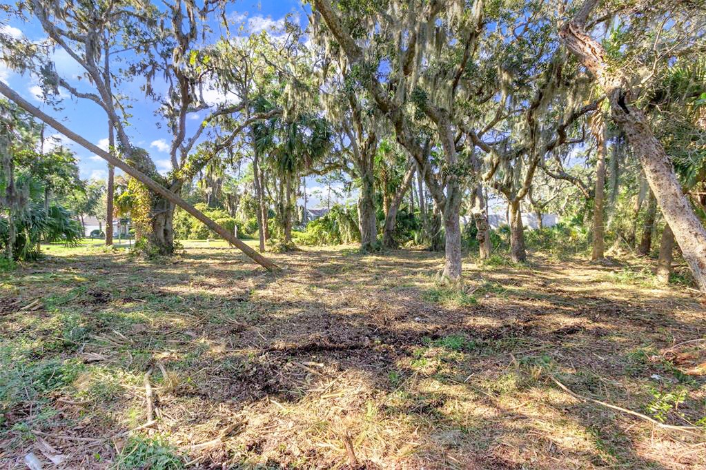 96634 SOAP CREEK DRIVE