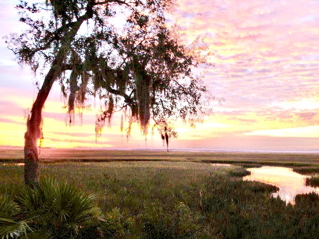 940192 OLD NASSAUVILLE ROAD