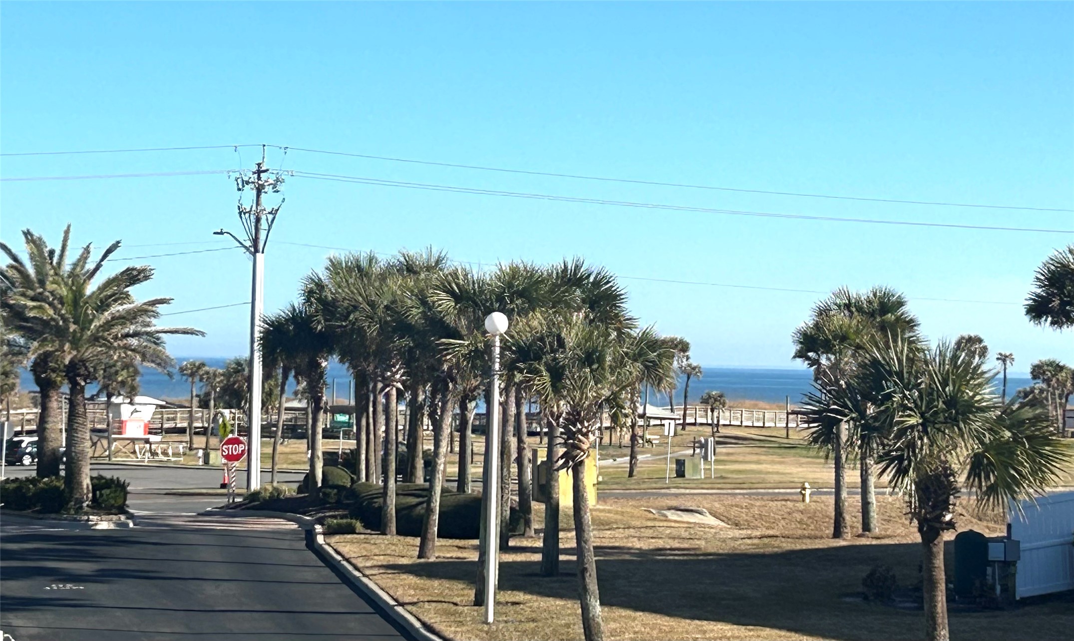 403 TARPON AVENUE 101