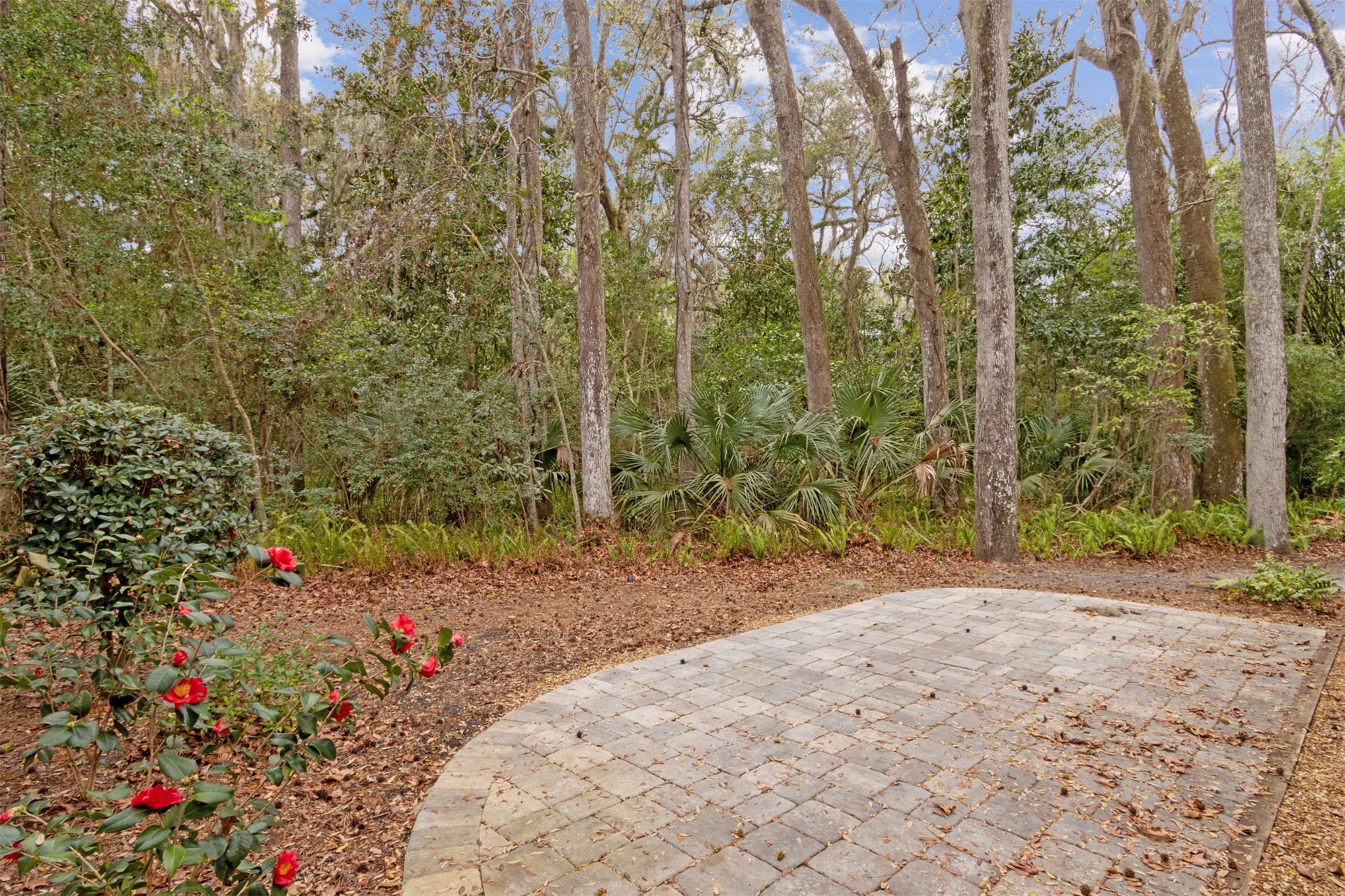 3211 SEA MARSH ROAD 3211