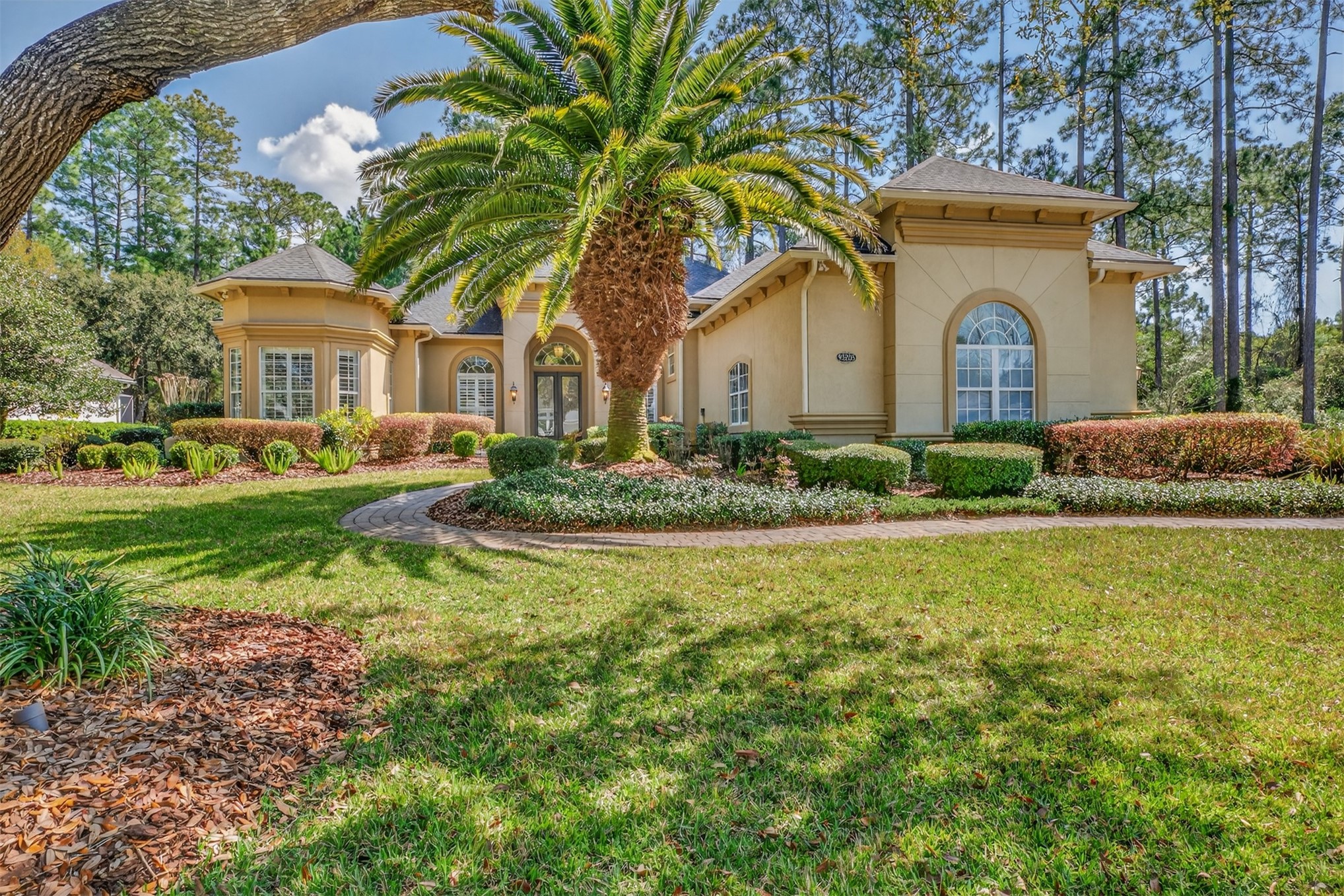 95205 AMELIA NATIONAL