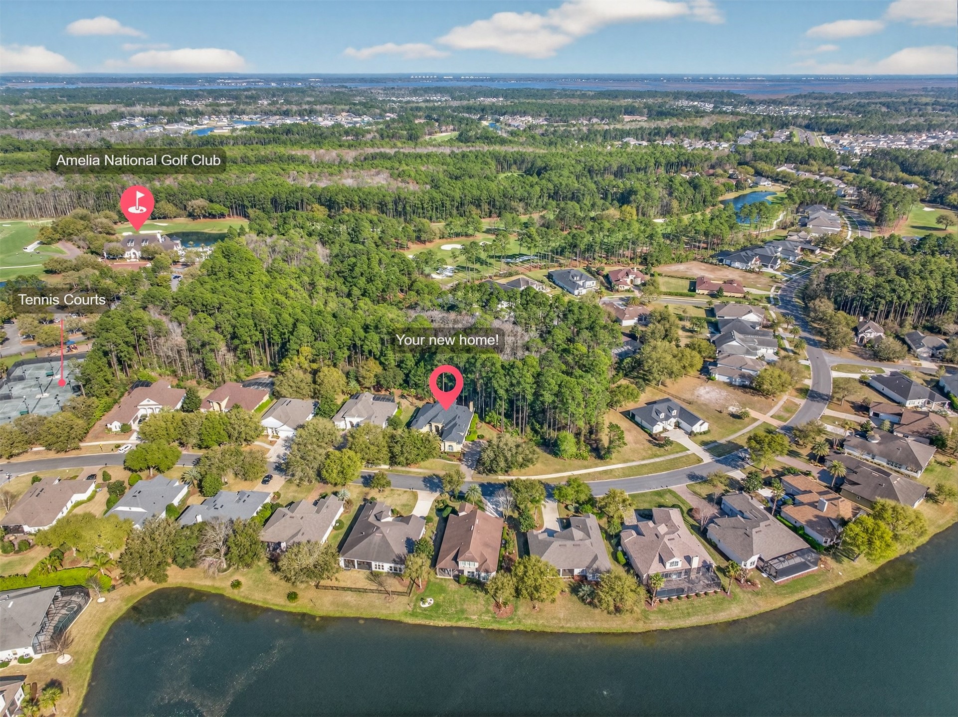 95205 AMELIA NATIONAL