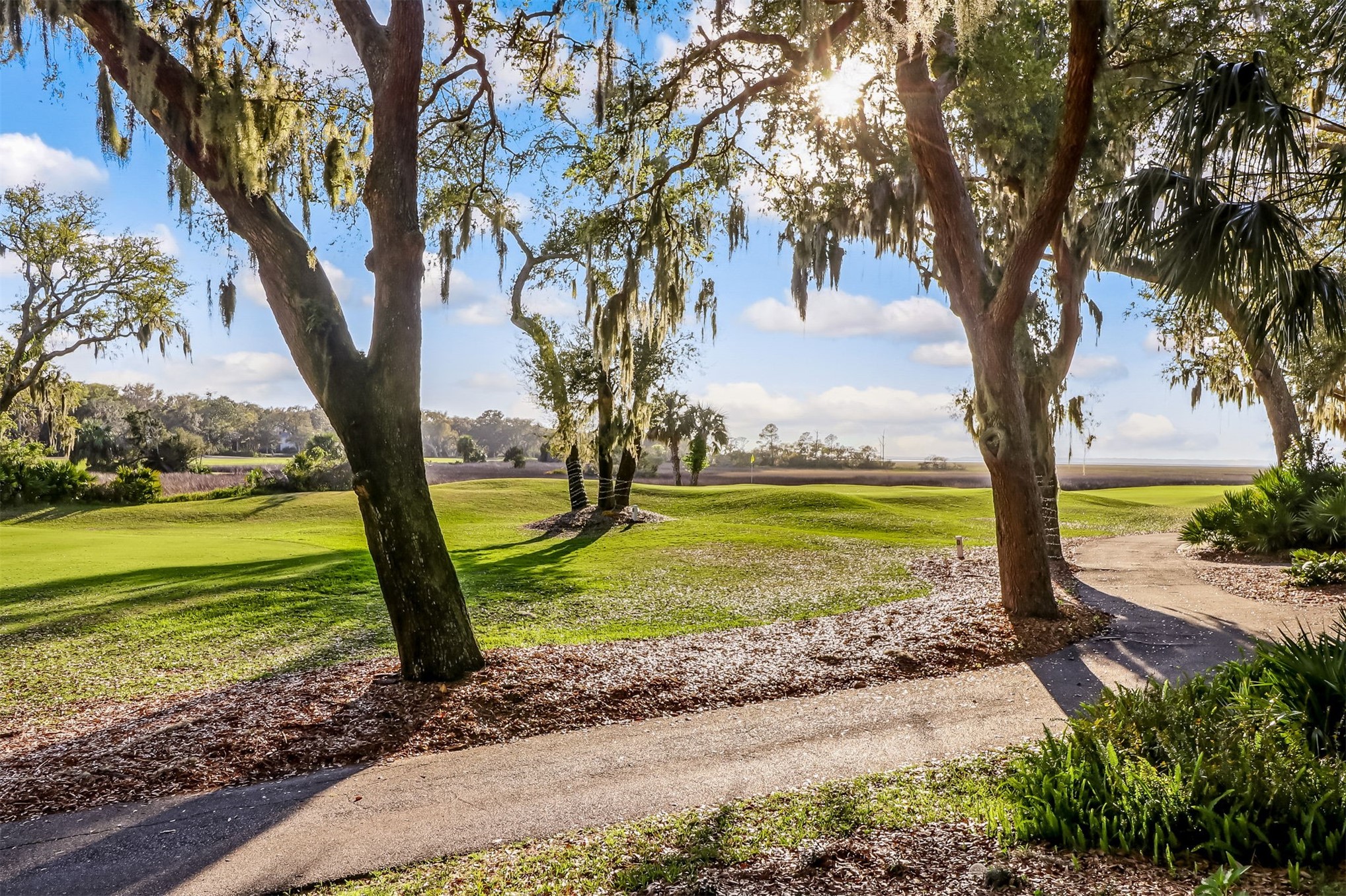 2117 BEACH WOOD 2117