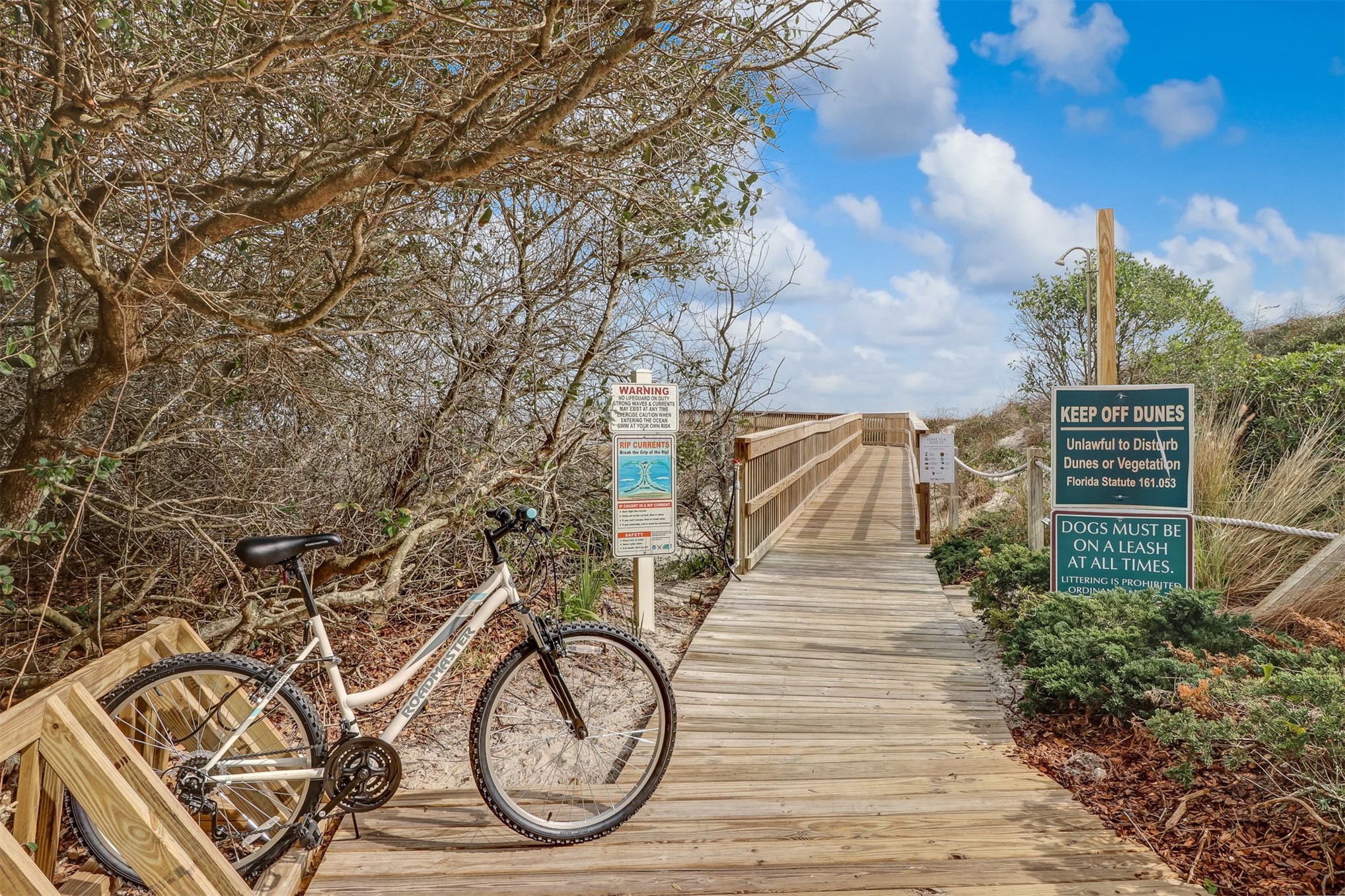 2117 BEACH WOOD 2117
