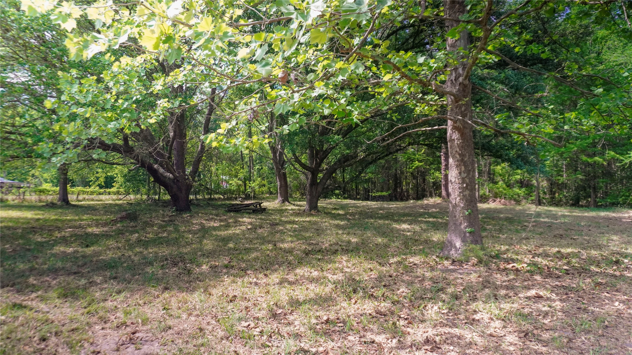 36507 36507 PRATT SIDING ROAD