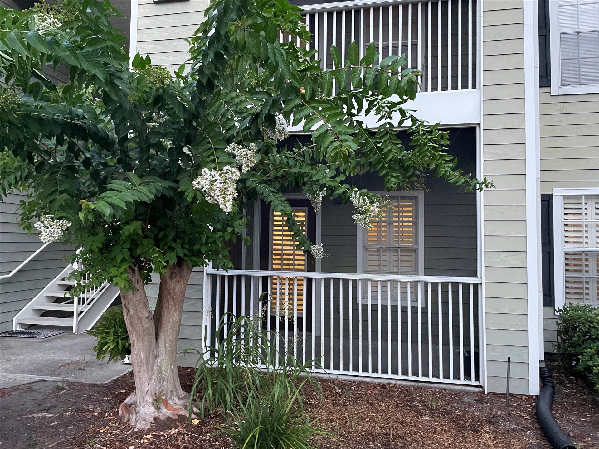 30970 PARADISE COMMONS #313