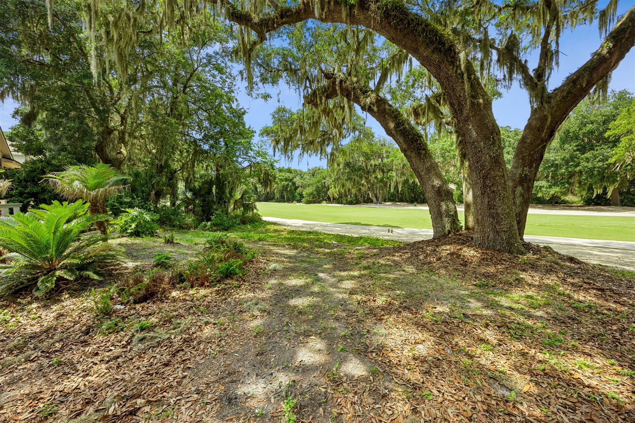 55 MARSH CREEK ROAD