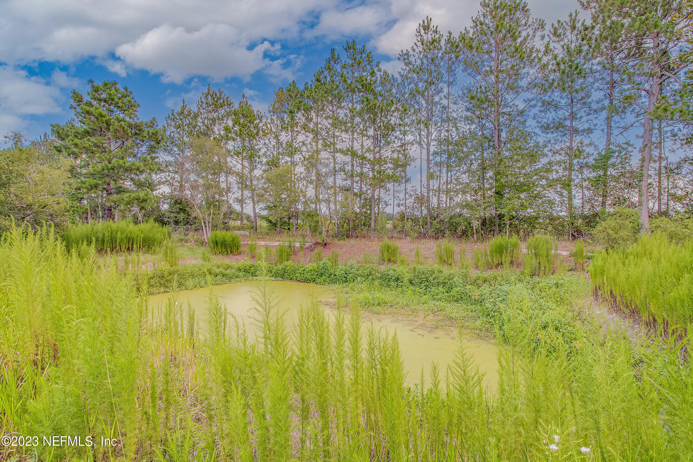 44608 SANDY FORD Road