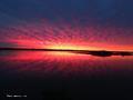 115 SUNSET HARBOR Way, 302