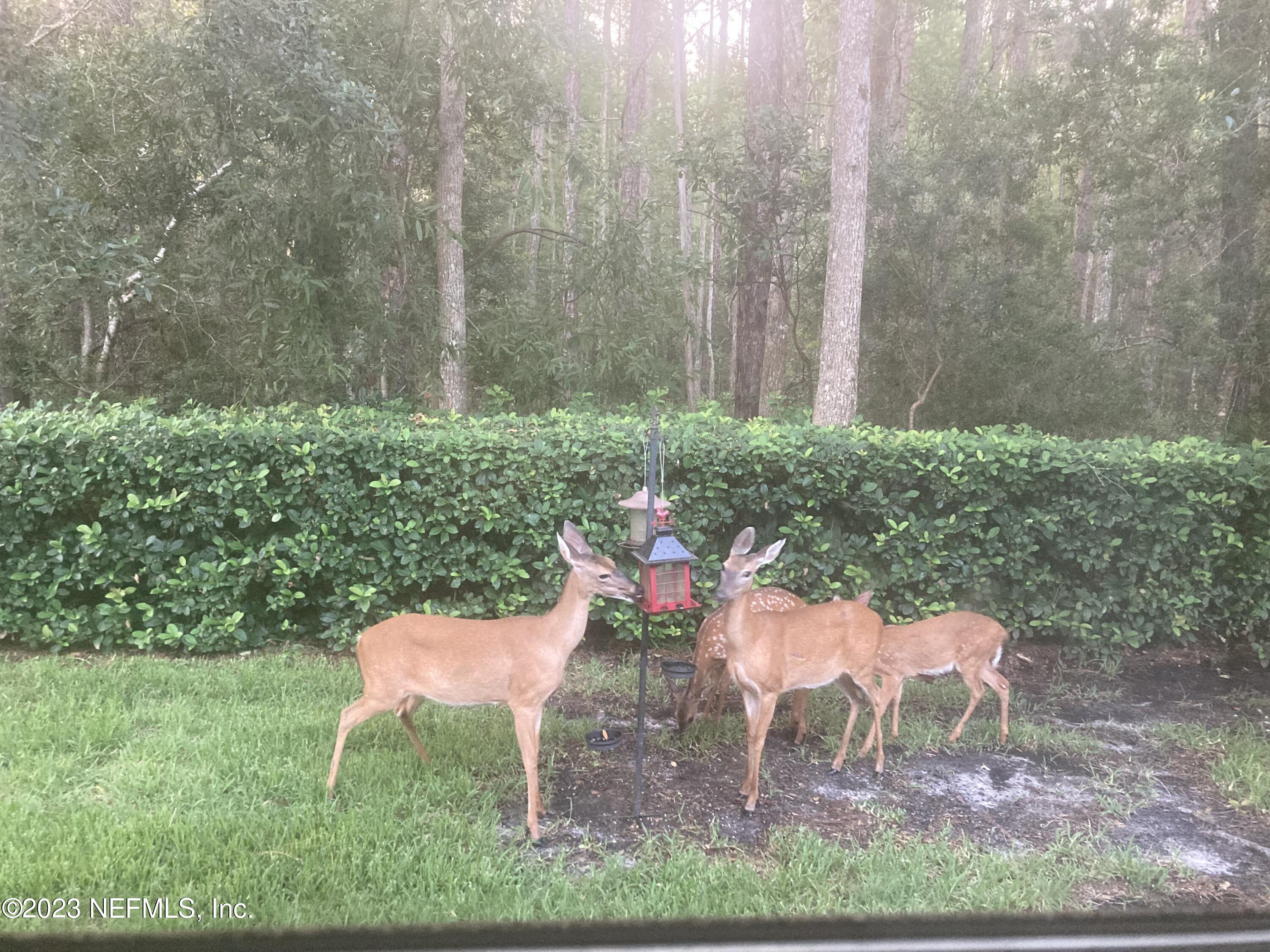 1016 BECKINGHAM Drive