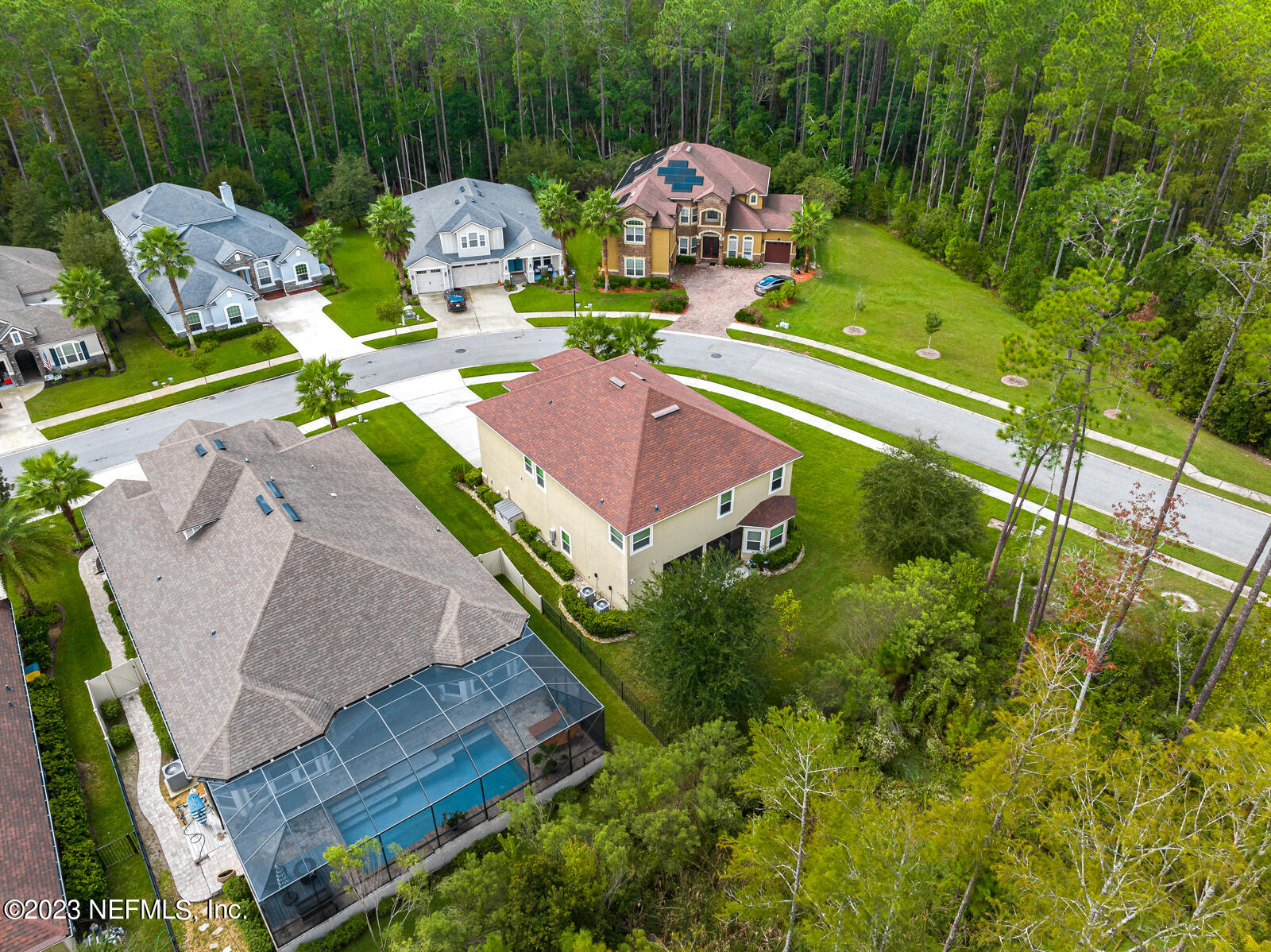 263 KIWI PALM Court