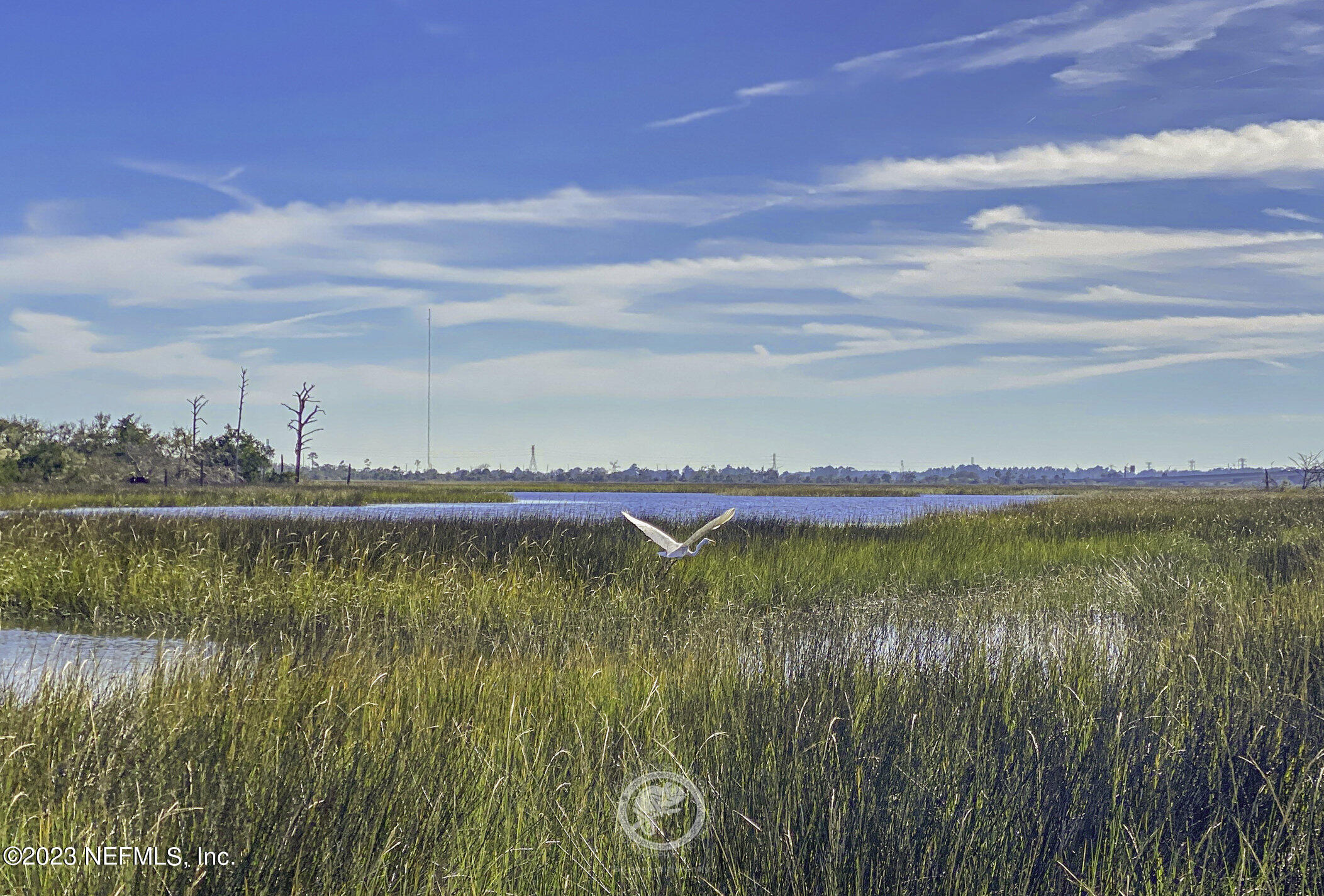 2009 PARADISE OAKS Court