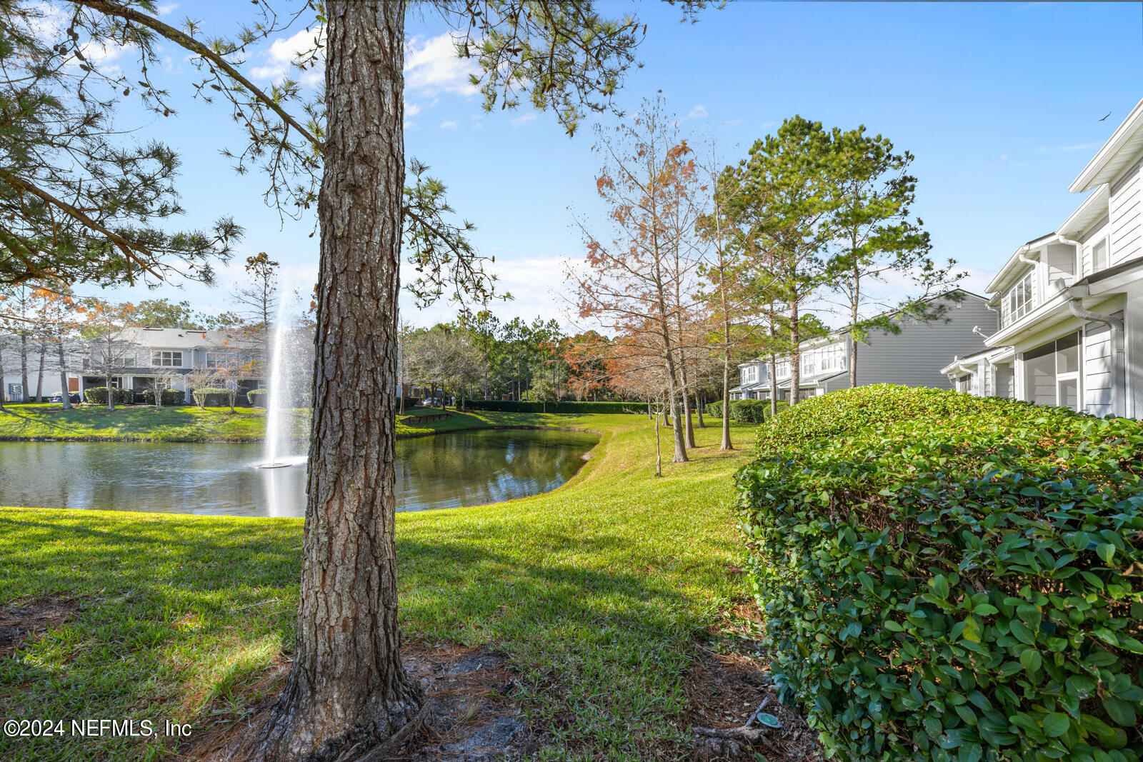 3517 NIGHTSCAPE Circle