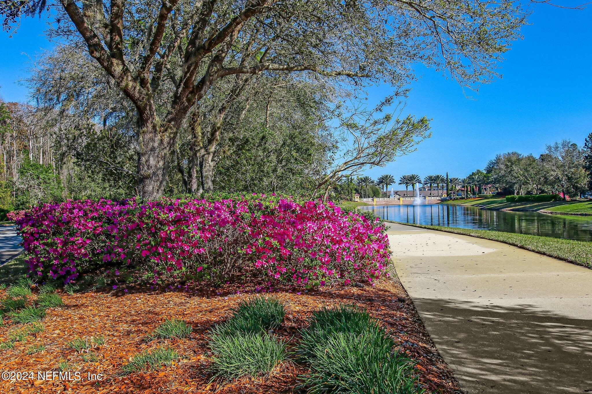 11230 WATER SPRING Circle