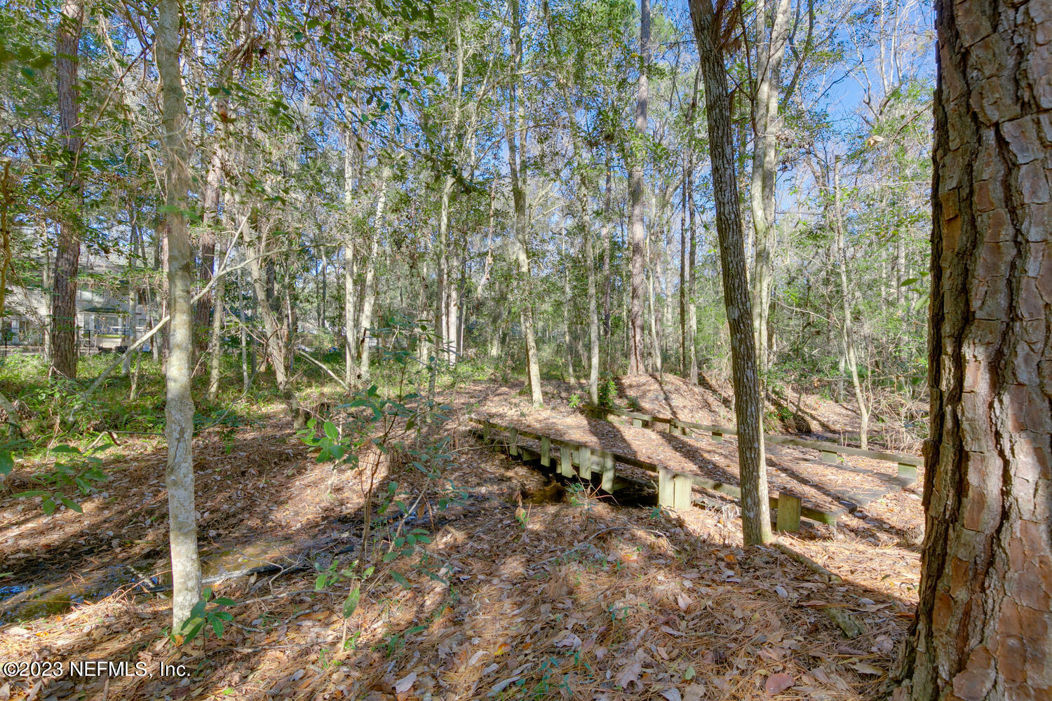 1318 FRUIT COVE Road N