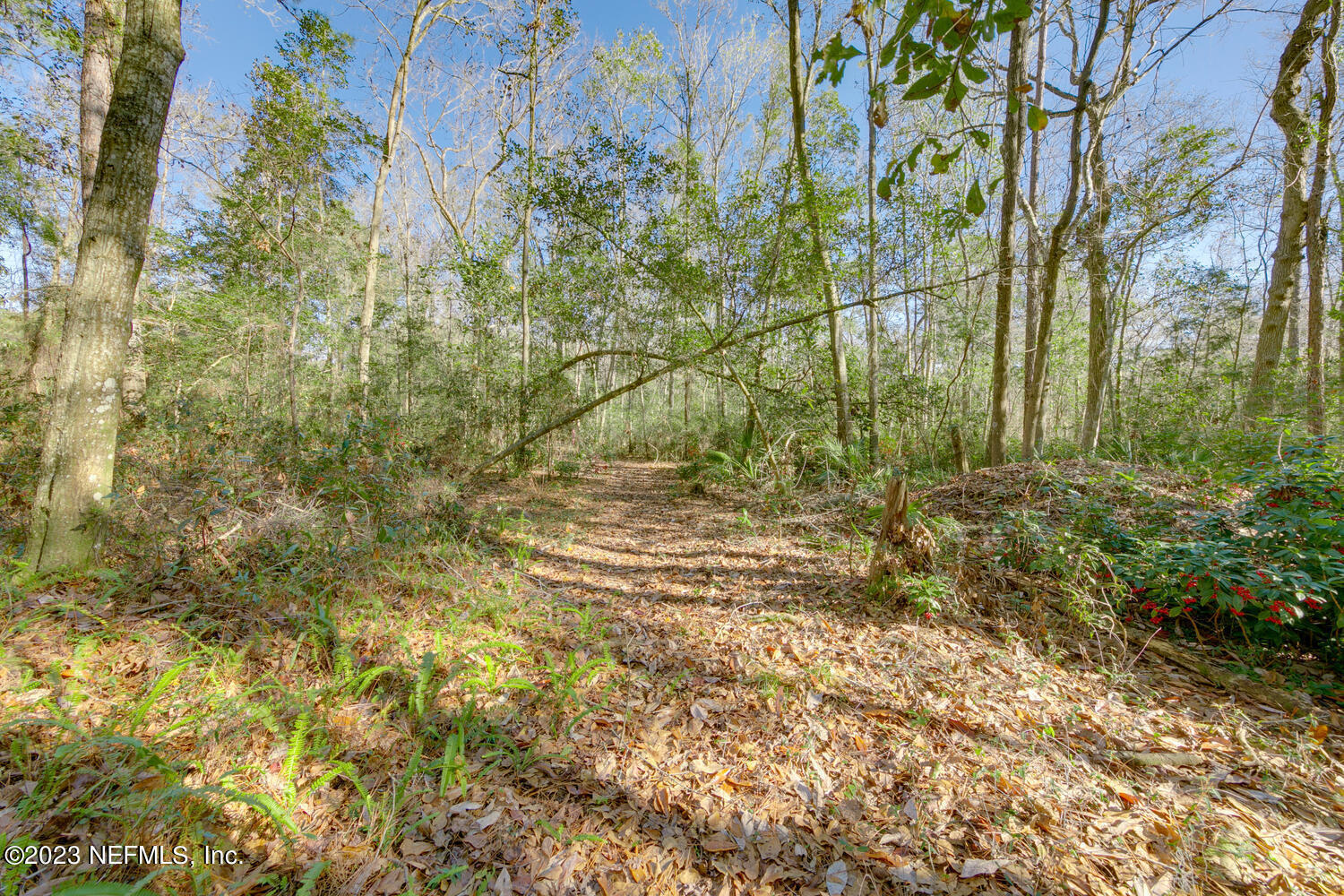 1318 FRUIT COVE Road N