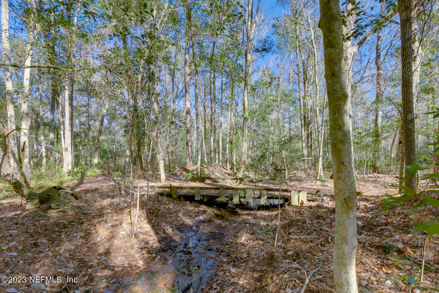 1318 FRUIT COVE Road N