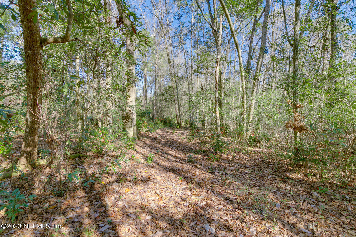 1318 FRUIT COVE Road N