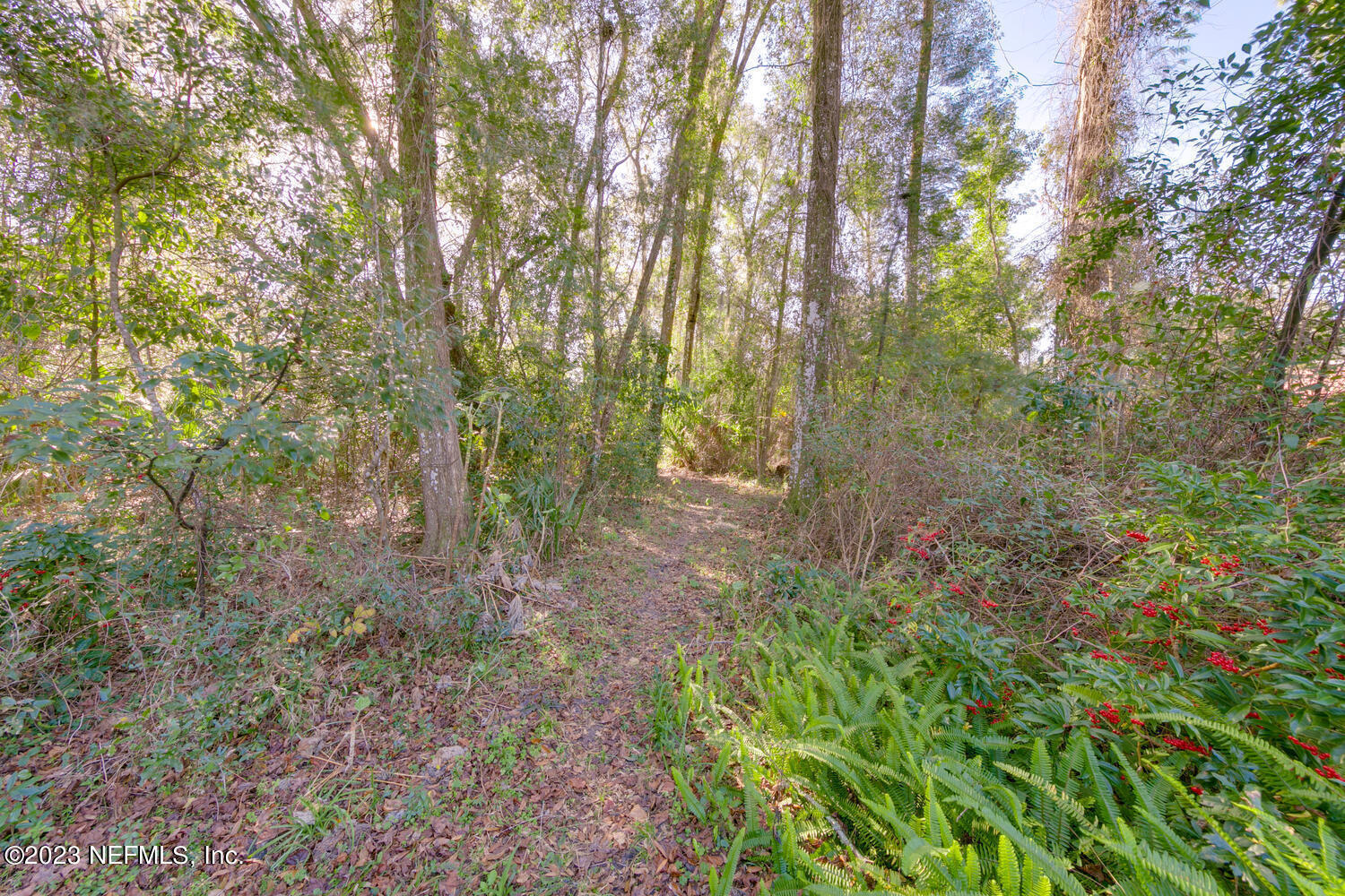 1318 FRUIT COVE Road N