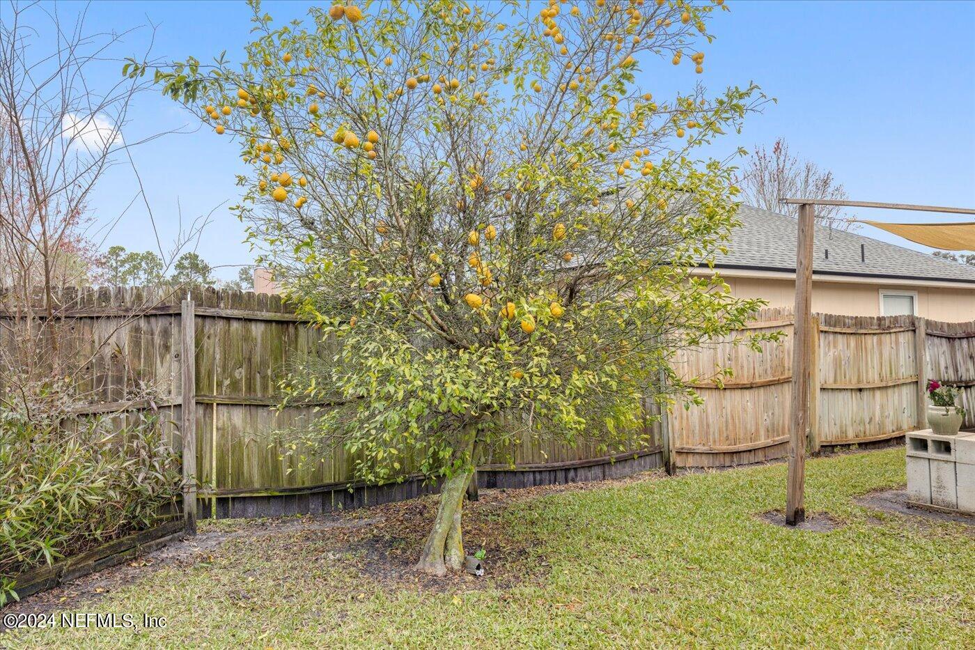 371 SUMMIT Drive