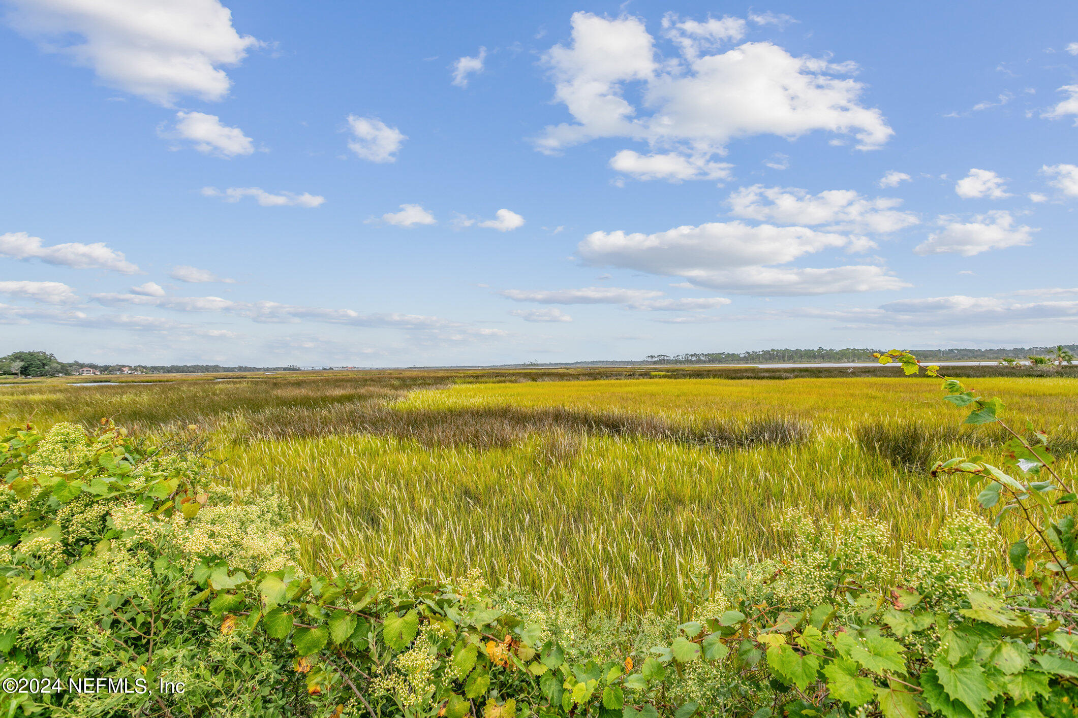 13865 ADMIRALS BEND Drive