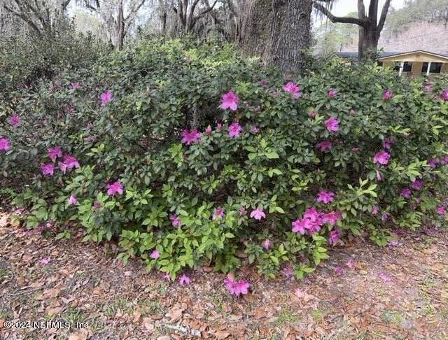 6066 HORSESHOE Drive