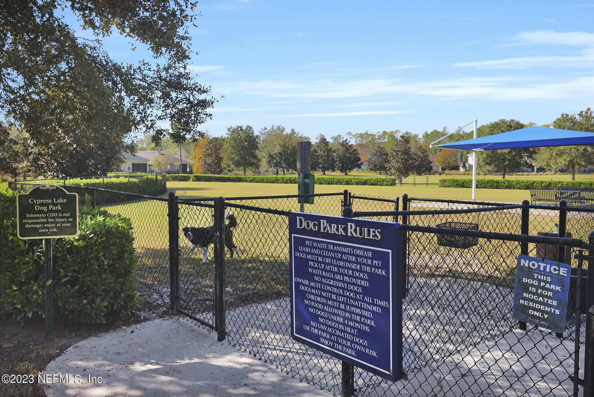 168 GRAY WOLF Trail