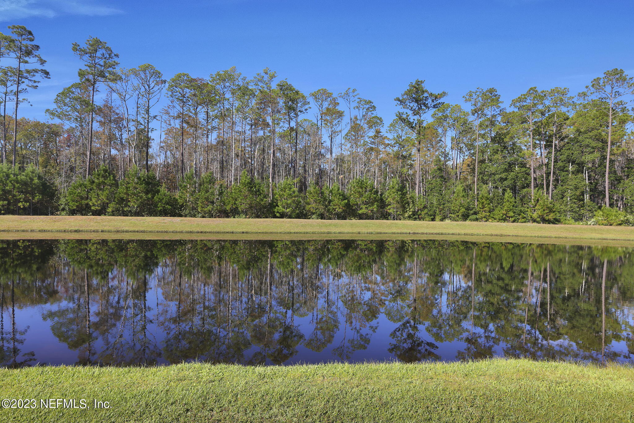 168 GRAY WOLF Trail