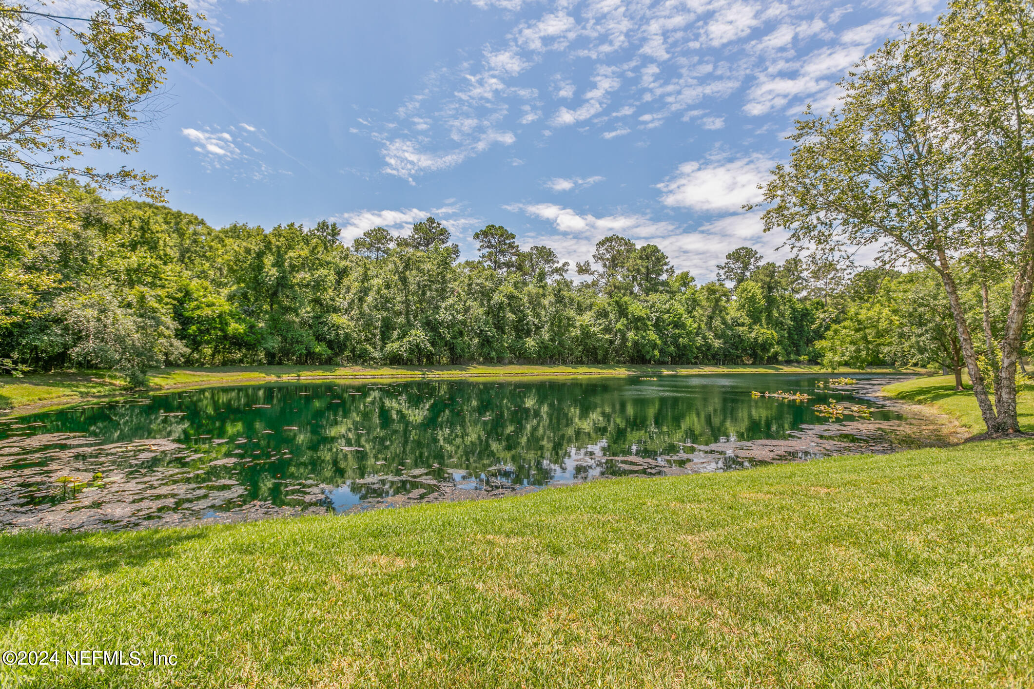 3748 BERENSTAIN Drive
