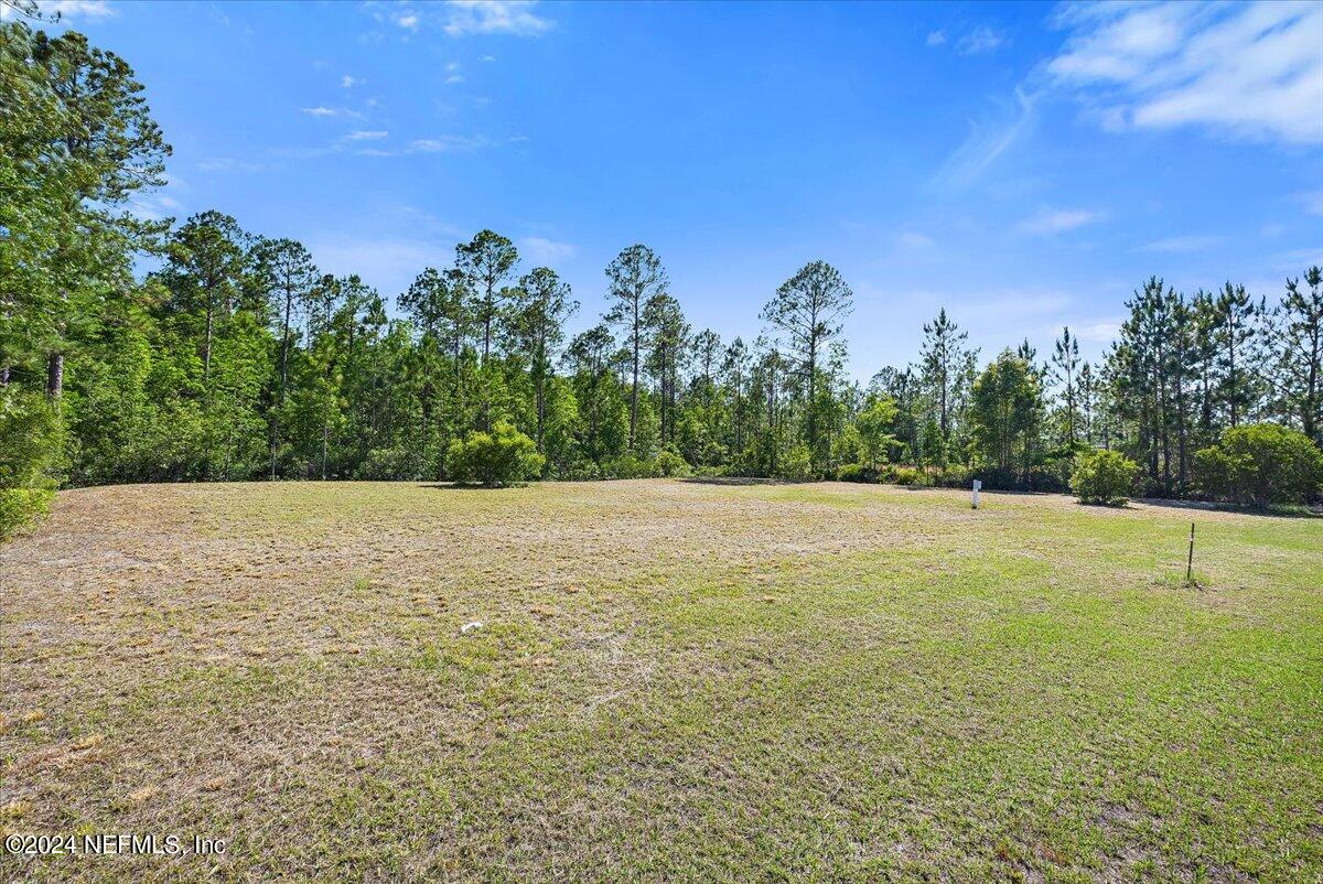 11317 SADDLE CLUB Drive