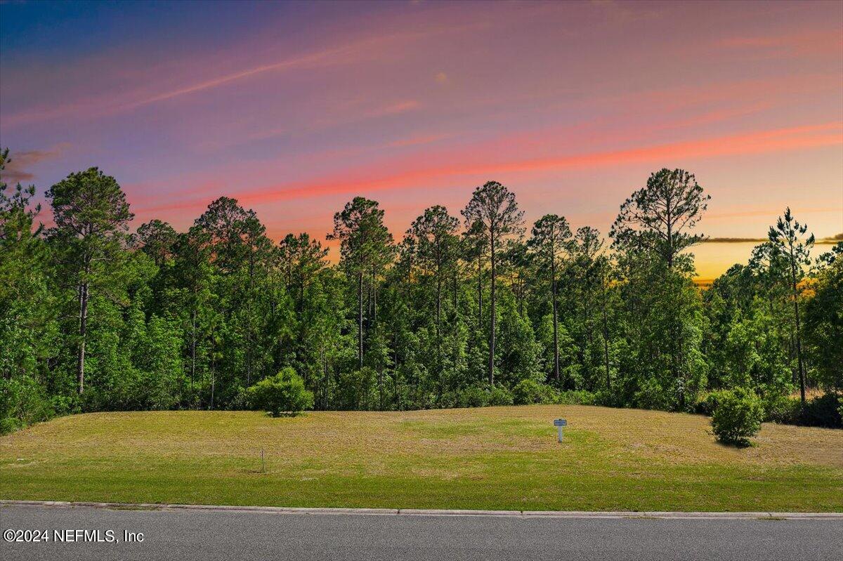 11317 SADDLE CLUB Drive