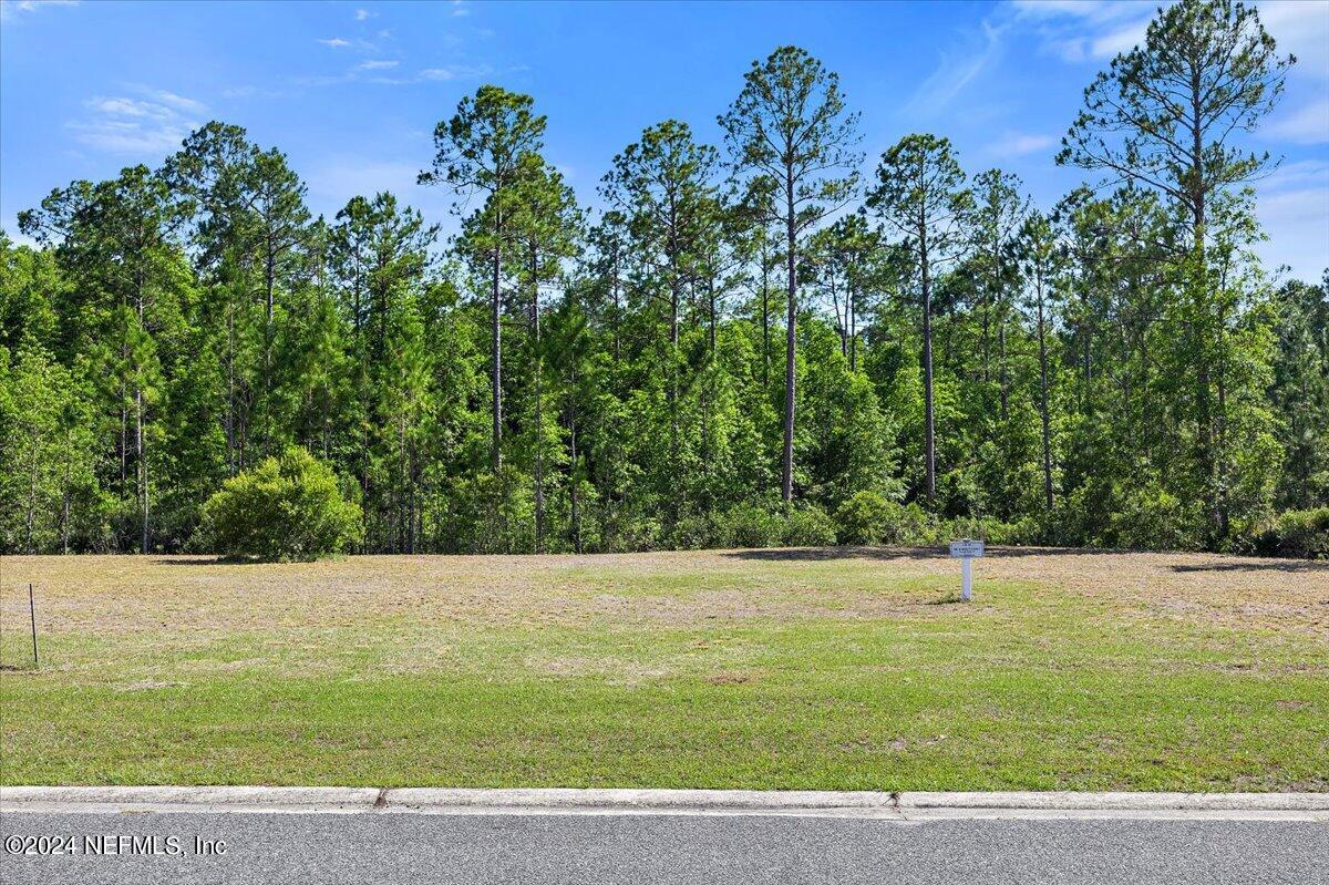 11317 SADDLE CLUB Drive