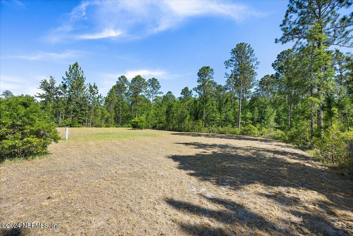 11317 SADDLE CLUB Drive