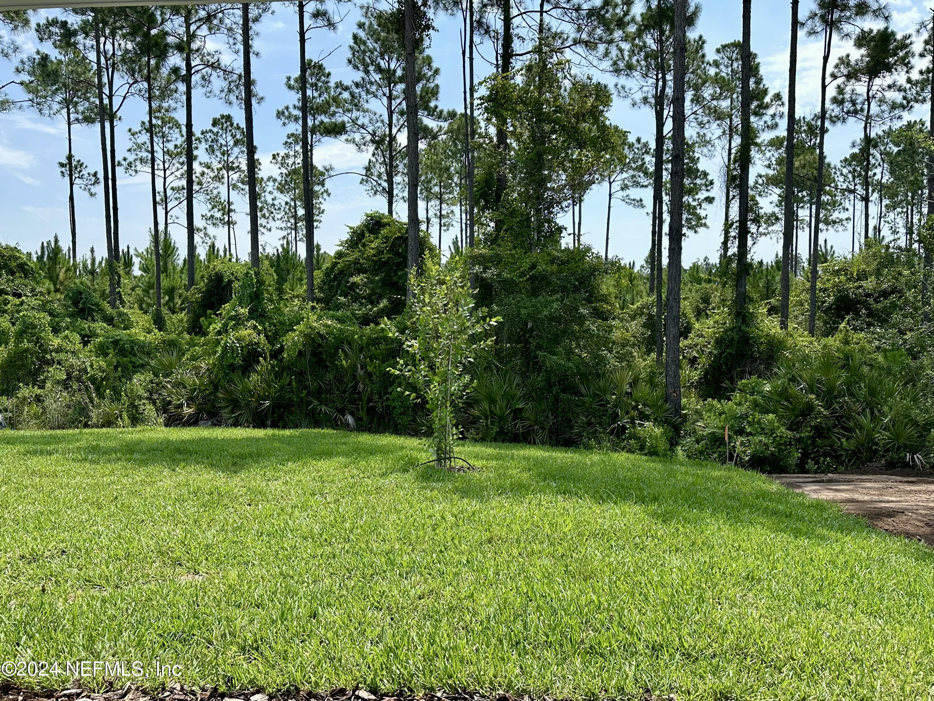 121 CREEK PEBBLE Drive