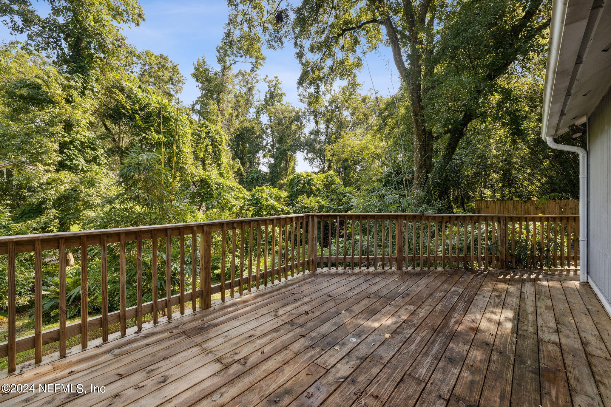 12551 SHADY CREEK Drive