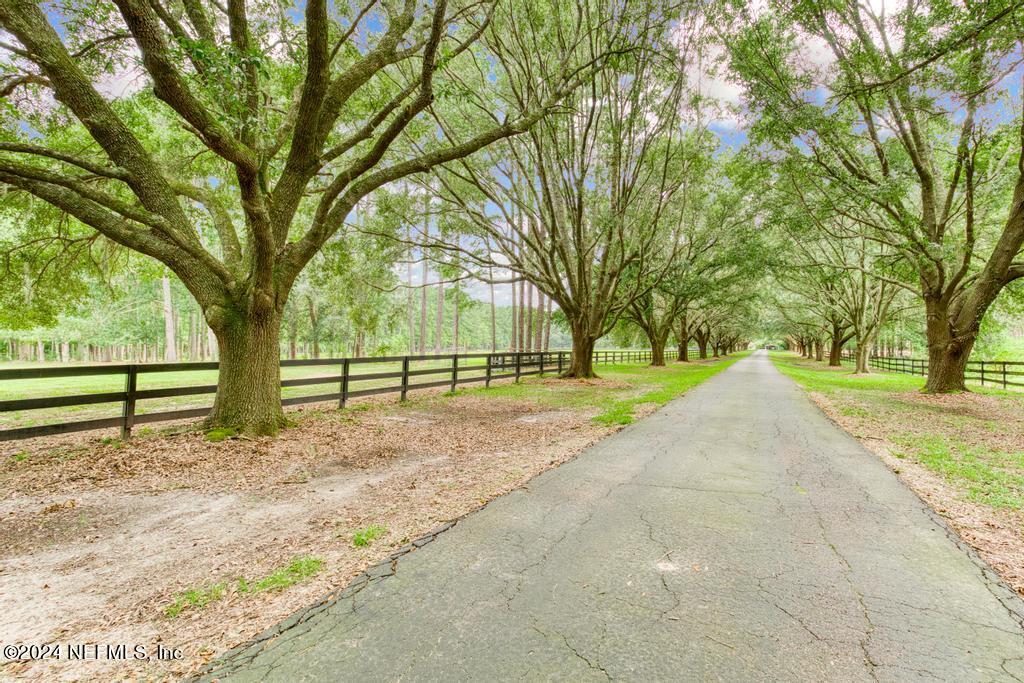 43201 MOSSY BRANCH
