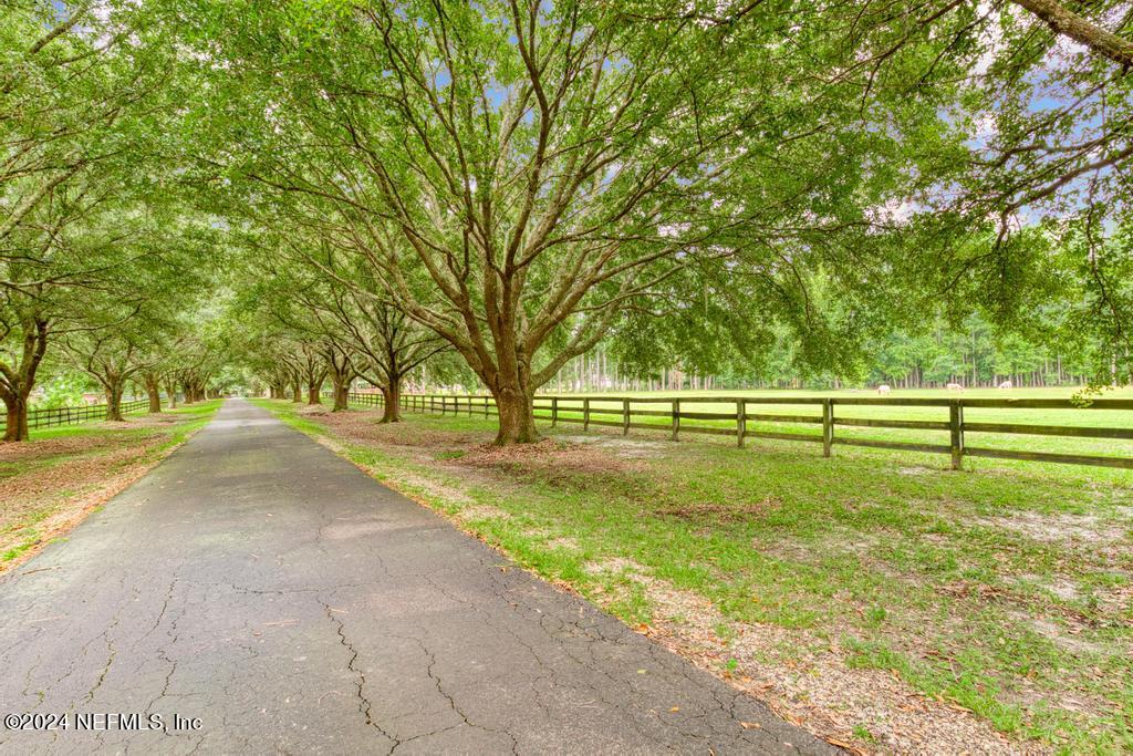 43201 MOSSY BRANCH