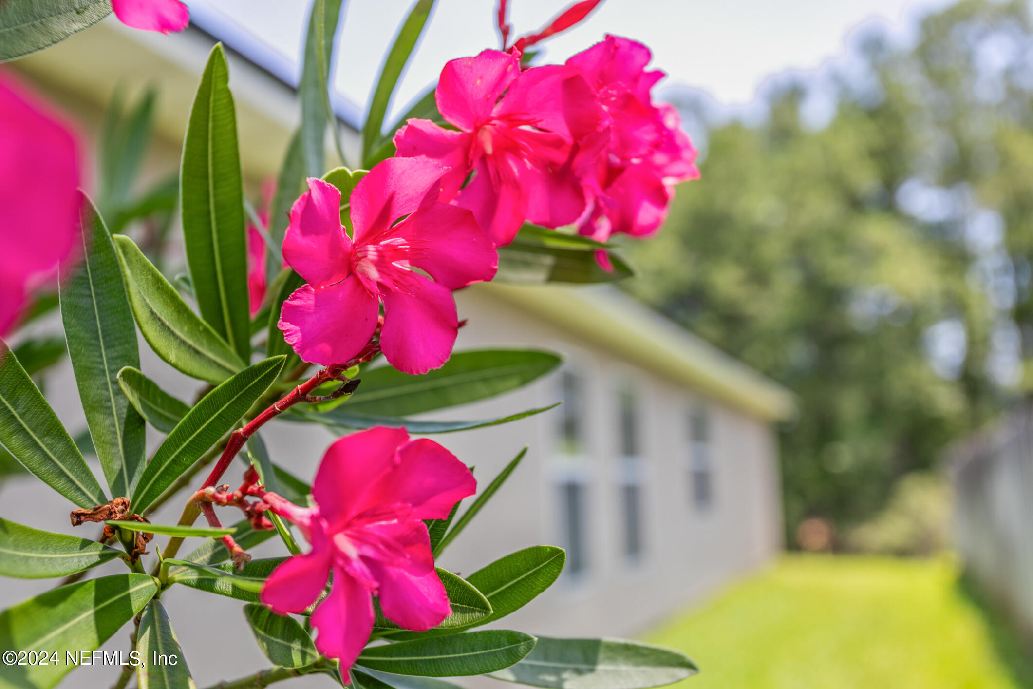 897 COLLINSWOOD Drive