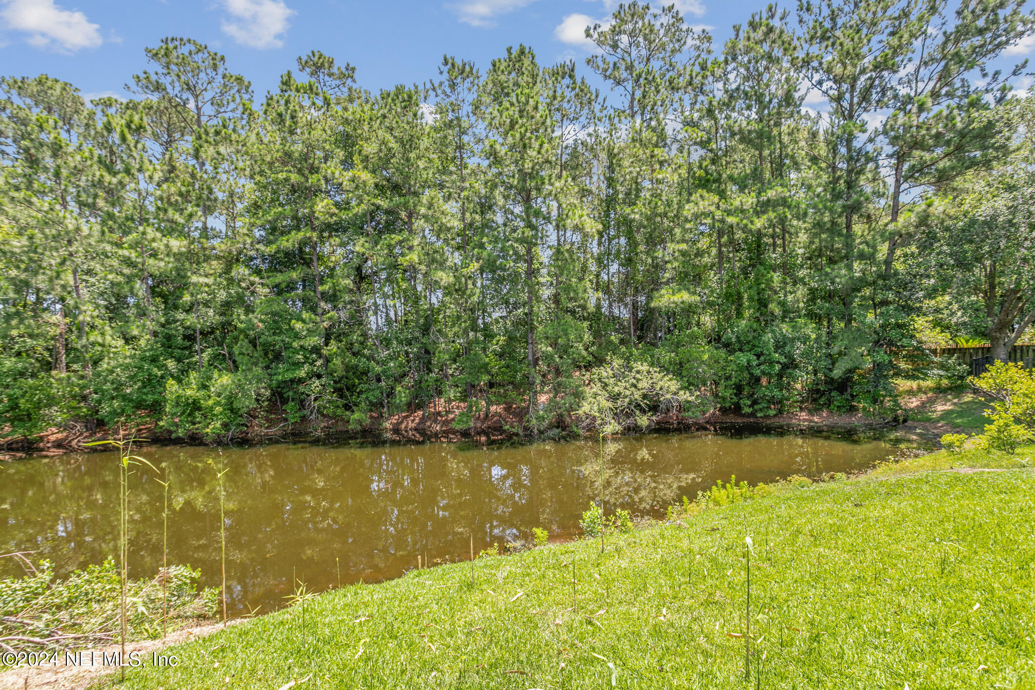 897 COLLINSWOOD Drive