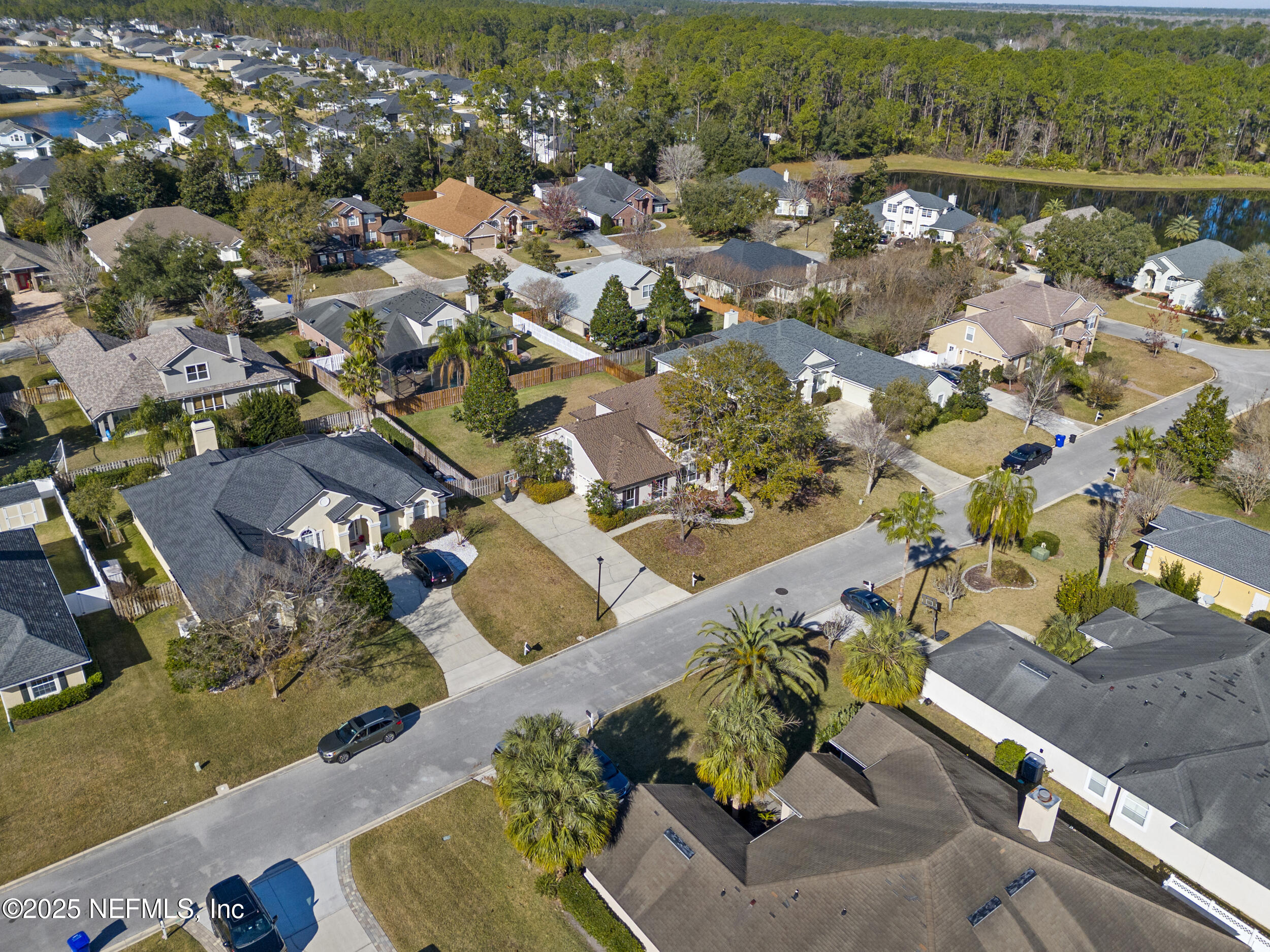 4149 LONICERA Loop