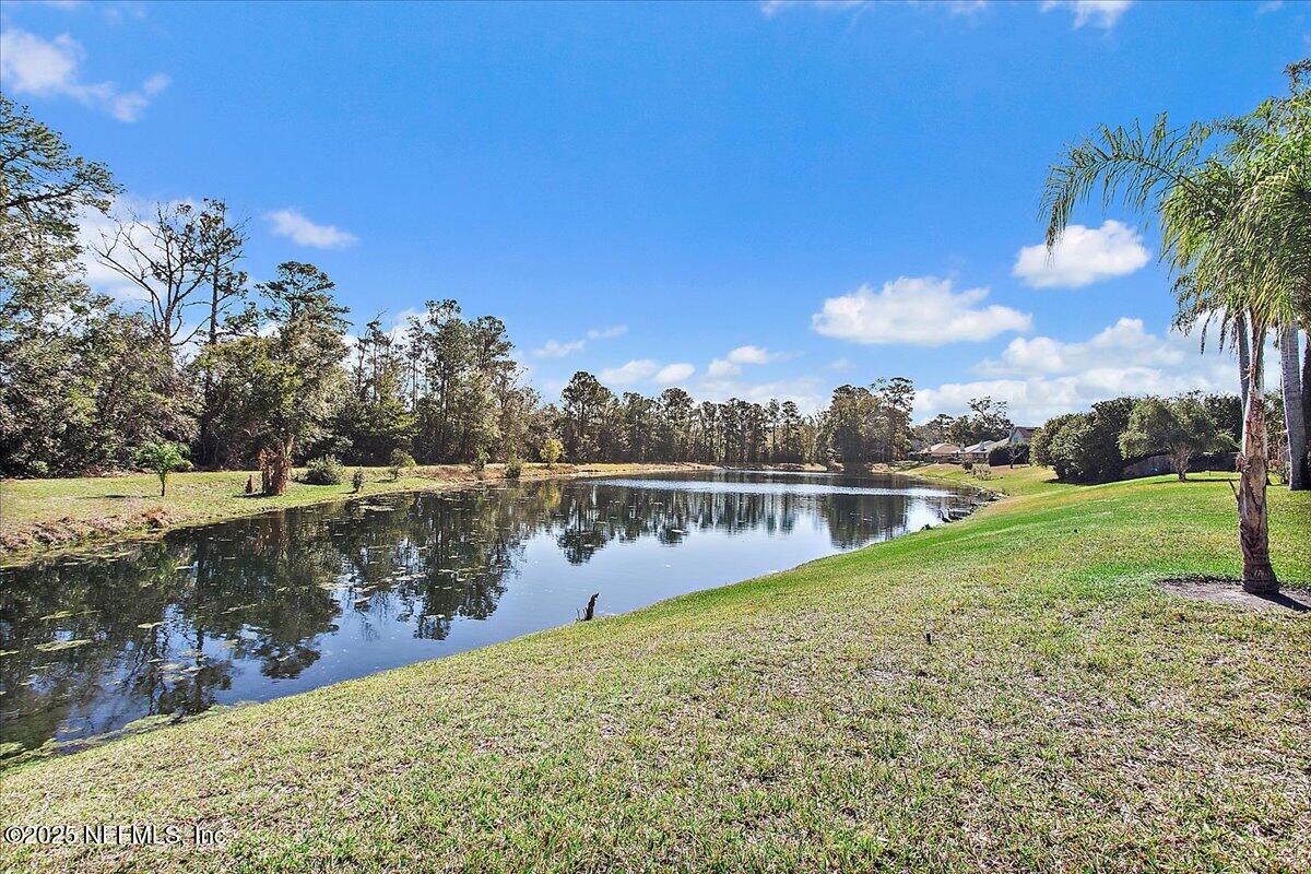 1441 SOARING FLIGHT Way