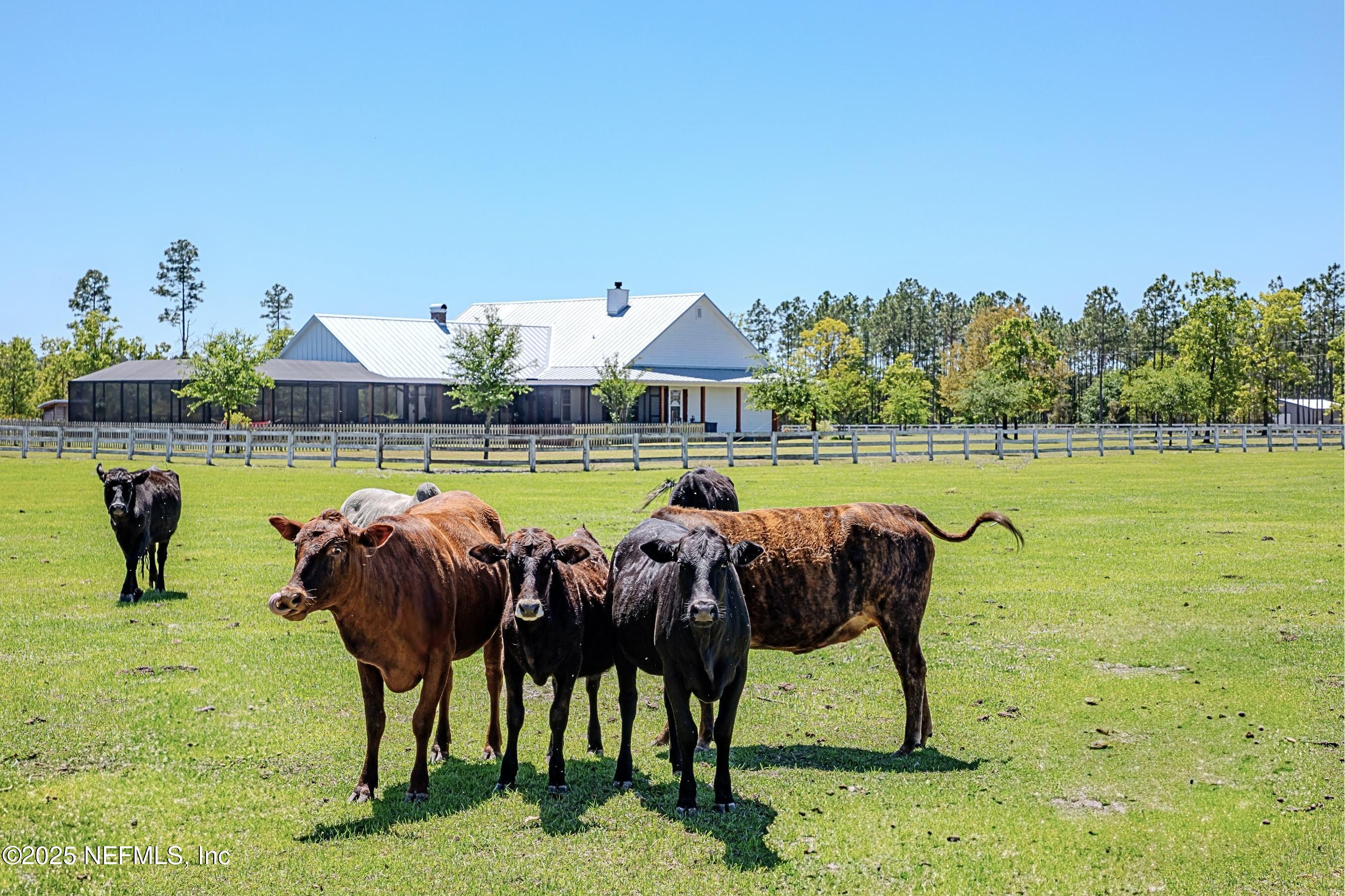 10021 MORNING GLORY Lane