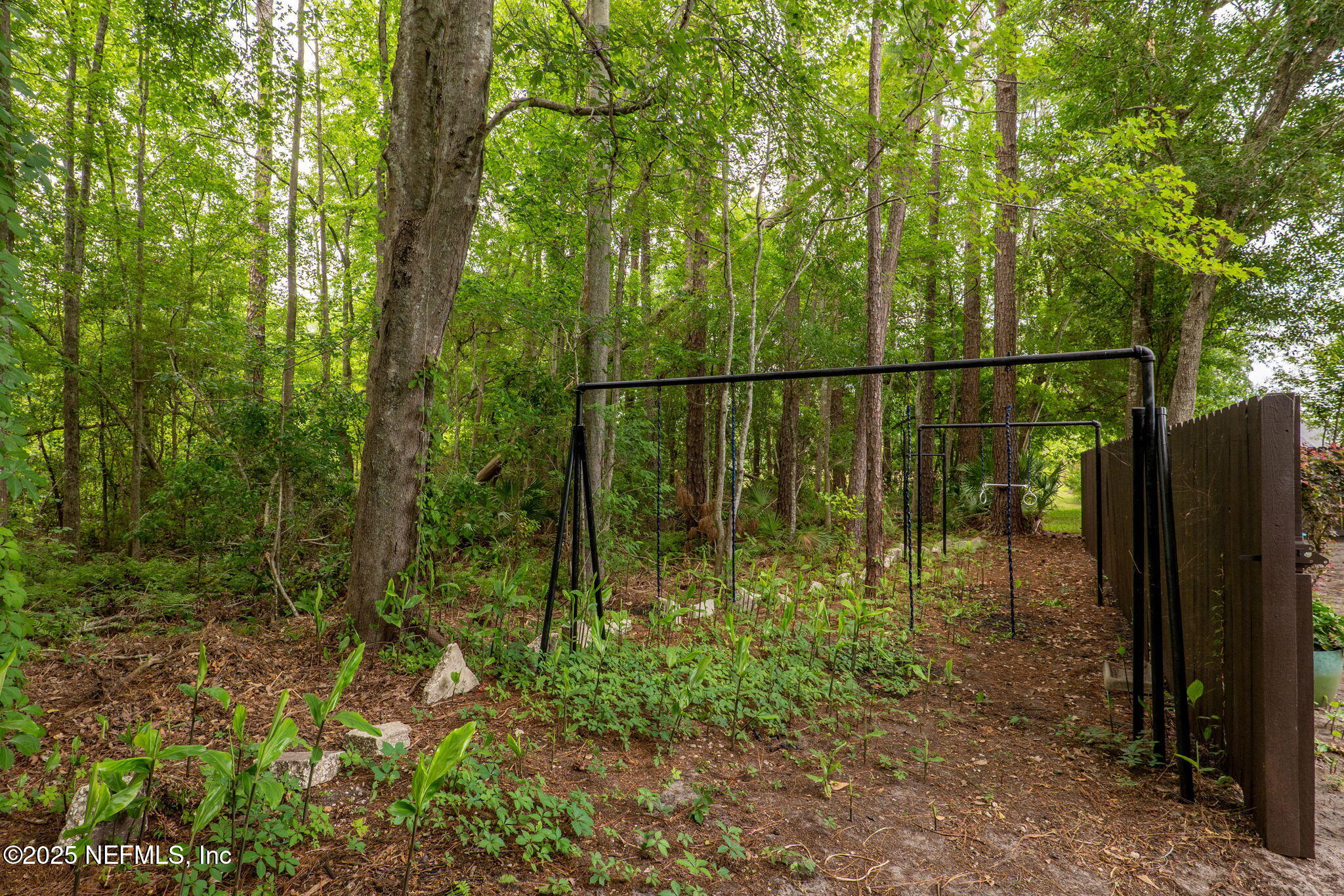 10619 SCOTTSDALE Court