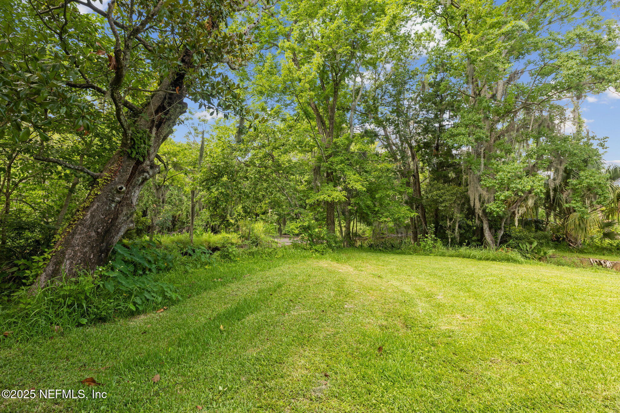 4341 WOODMERE Street