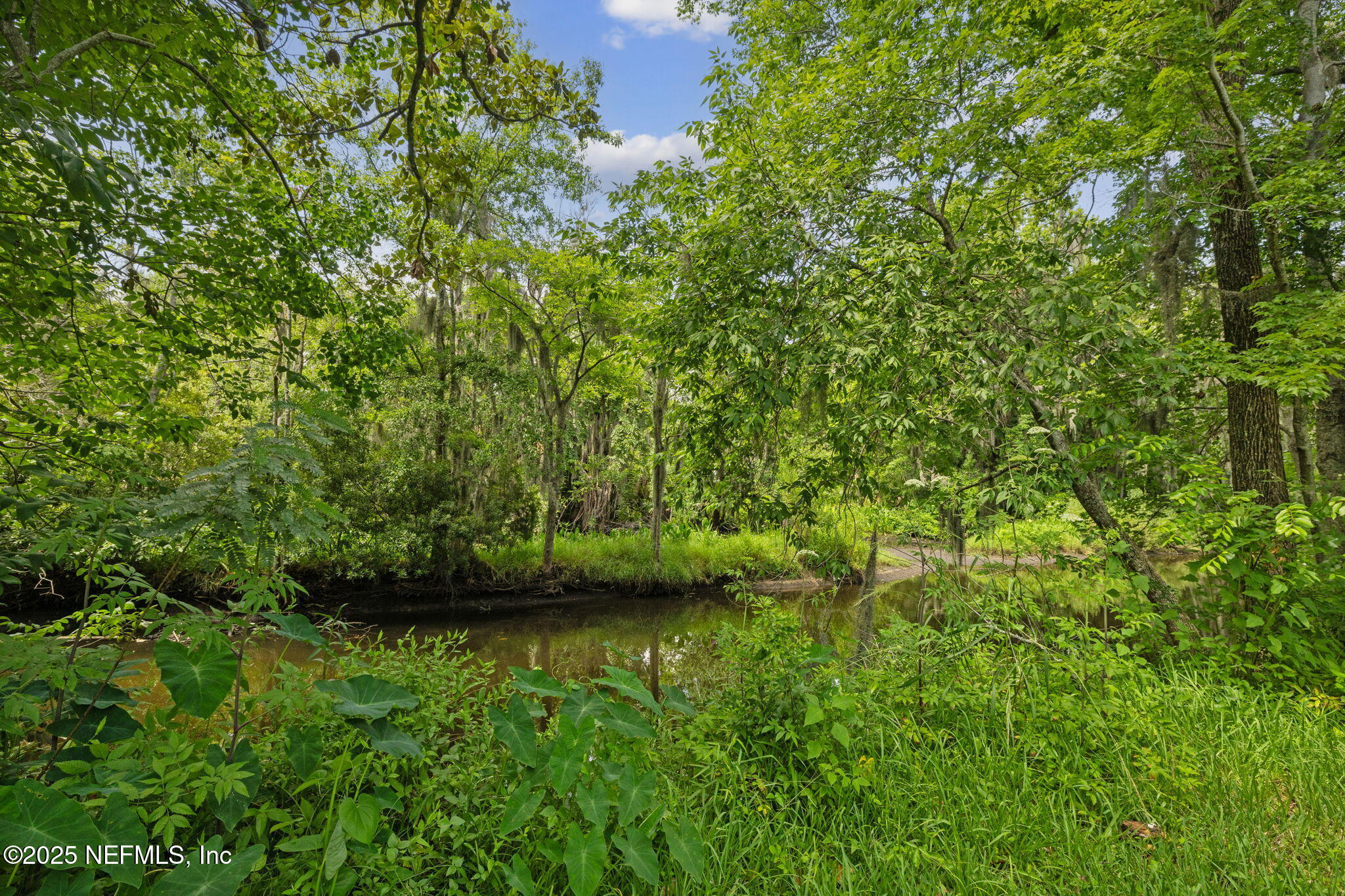 4341 WOODMERE Street